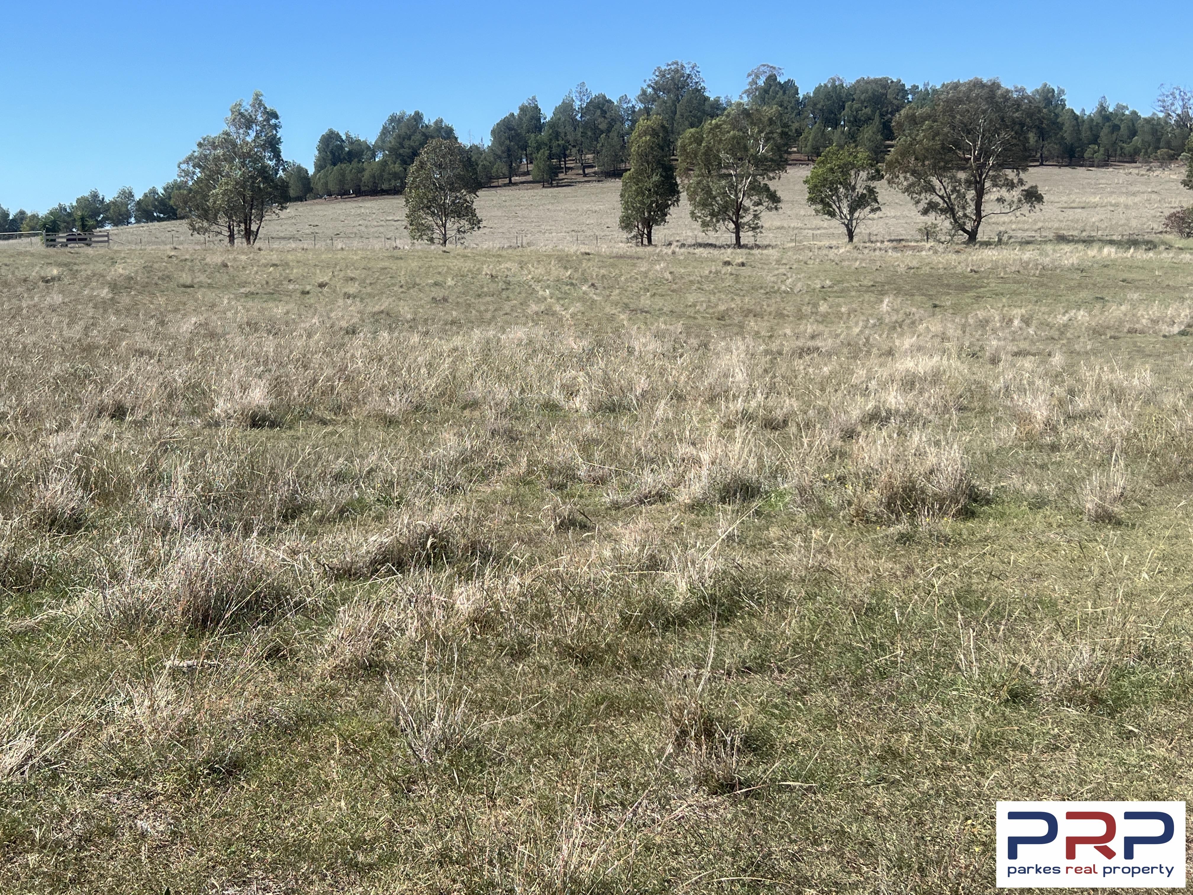 12 Cons Lane, PARKES, NSW 2870