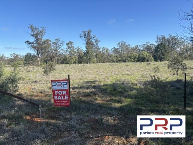 41 The Bogan Way, TRUNDLE, NSW 2875