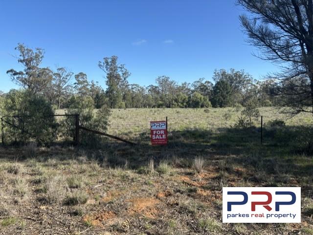 41 The Bogan Way, TRUNDLE, NSW 2875