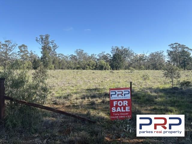 41 The Bogan Way, TRUNDLE, NSW 2875