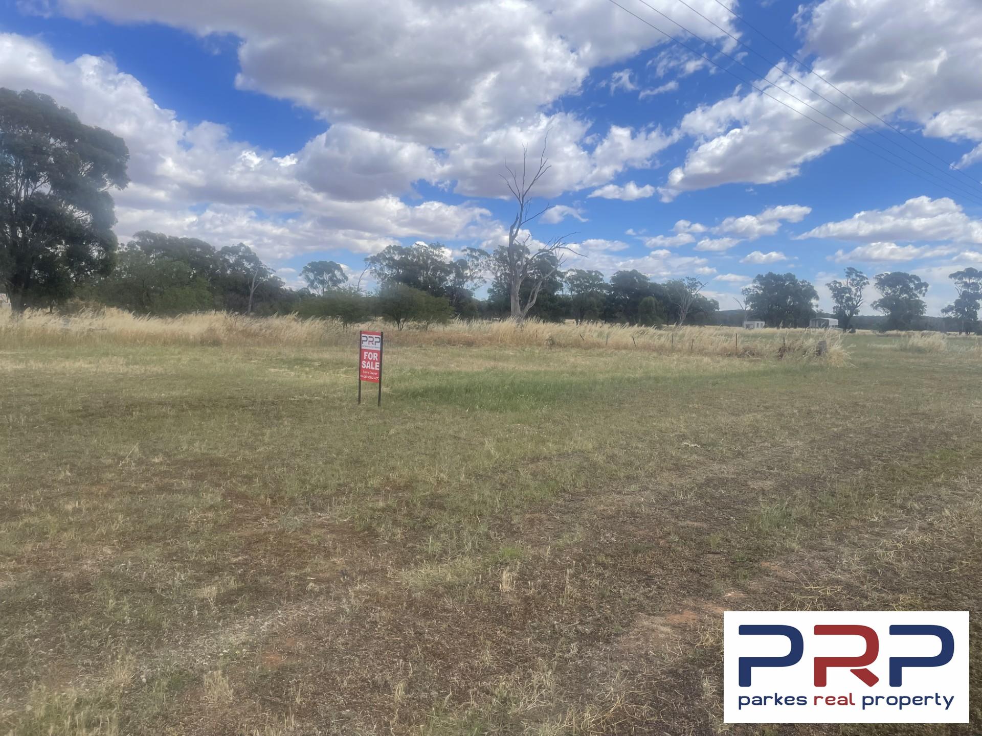 9/Lachlan Street, BOGAN GATE, NSW 2876